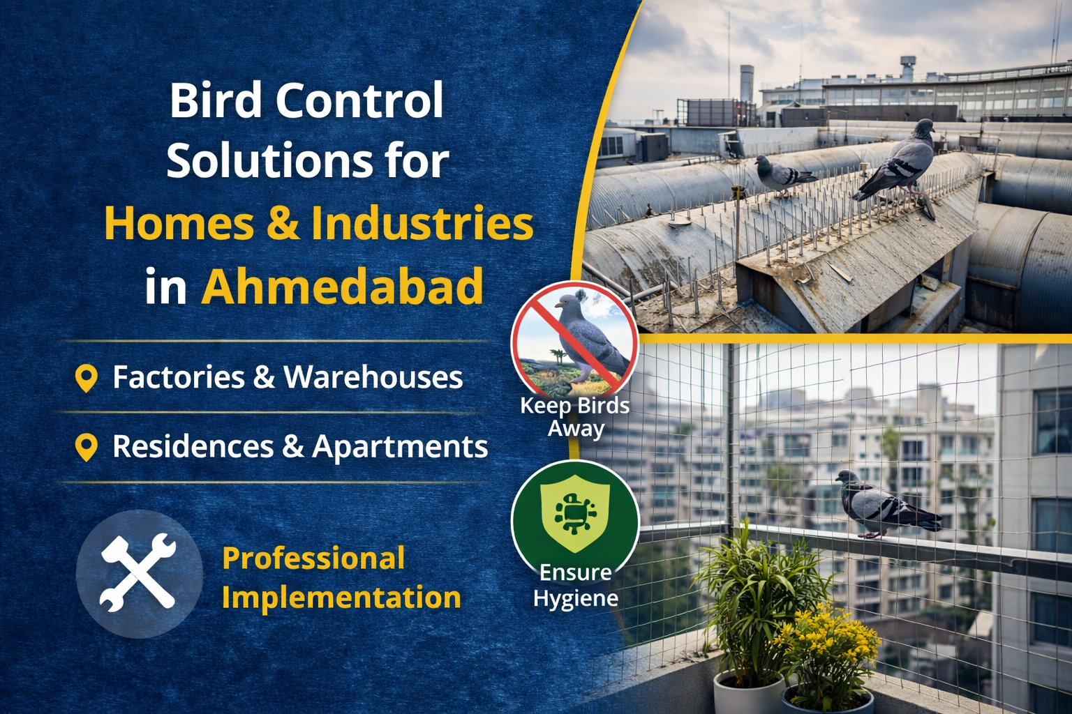 Seasonal Bird Problems and Why You Need Year-Round Protection